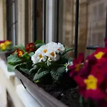 Goldcentral Danube-private Terrace-convenient Location Budapest
