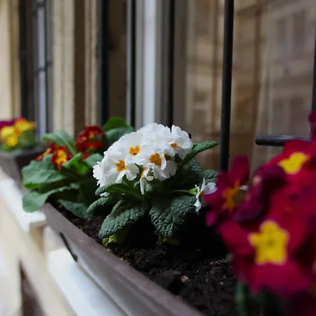 Goldcentral Danube-private Terrace-convenient Location Budapeszt