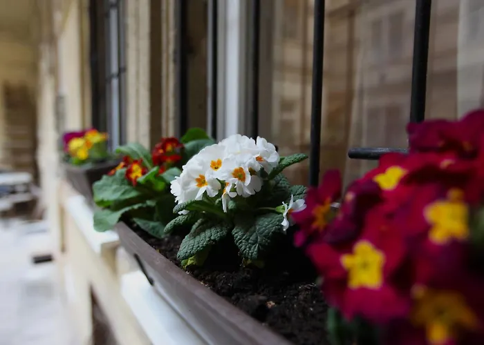 Goldcentral Danube-private Terrace-convenient Location Budapest